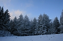 Bieszczady 12.2007 056